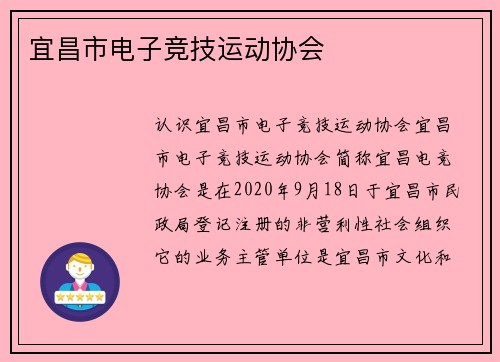宜昌市电子竞技运动协会